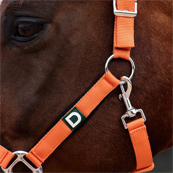 2026 Dublin Neo Comfort Headcollar 1031035 - Orange